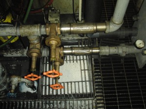 CIMG0551-300x225