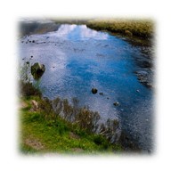 outdoor pond